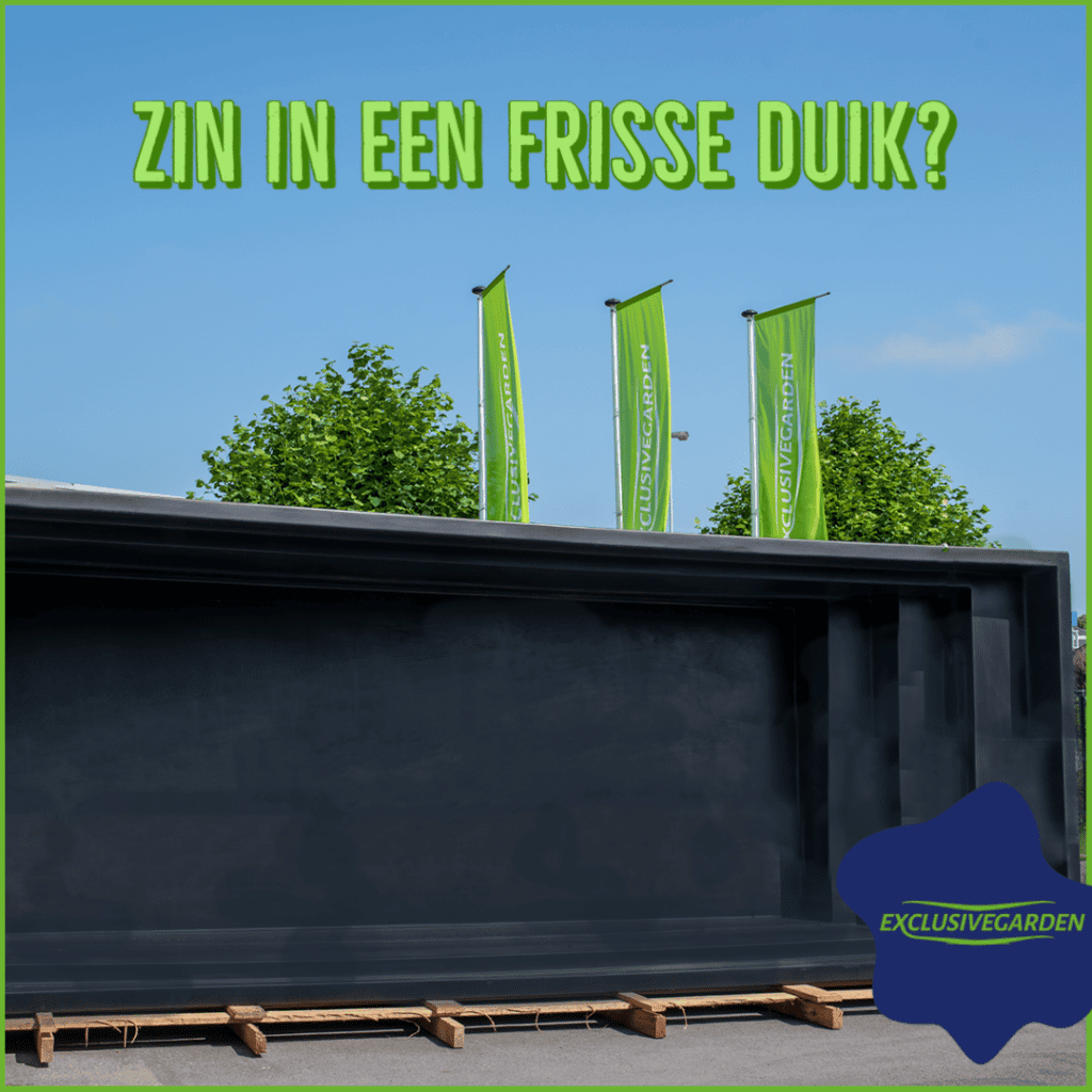 zwemvijver 640 x 240 x 130